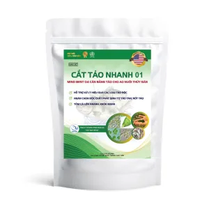 Cắt tảo nhanh 01