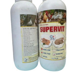 Supervit ̣(Vỗ béo cao đạm)