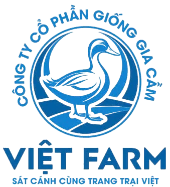 Công Ty Cổ Phần Giống Gia Cầm Việt Farm
