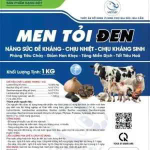 Men tỏi đen