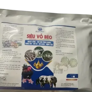 Siêu vỗ béo