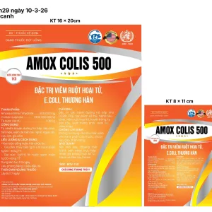 VM – AMOX 50 Gold