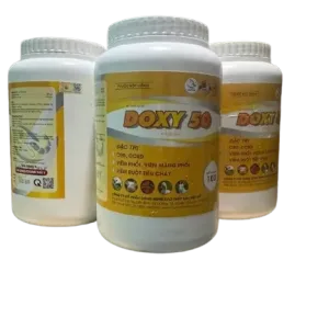 Doxy 50